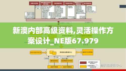 新澳内部高级资料,灵活操作方案设计_NE版67.979