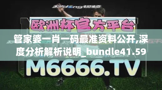 管家婆一肖一码最准资料公开,深度分析解析说明_bundle41.599