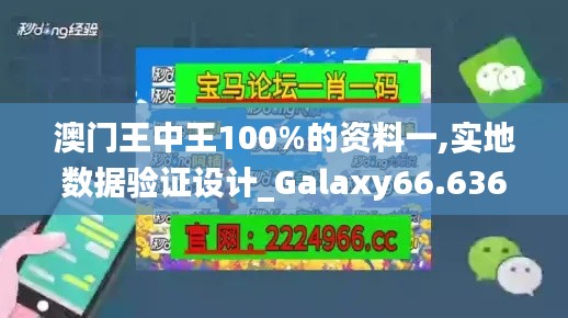 澳门王中王100%的资料一,实地数据验证设计_Galaxy66.636
