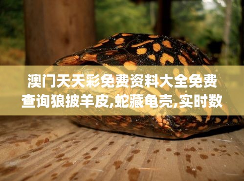 澳门天天彩免费资料大全免费查询狼披羊皮,蛇藏龟壳,实时数据解释定义_AP85.114