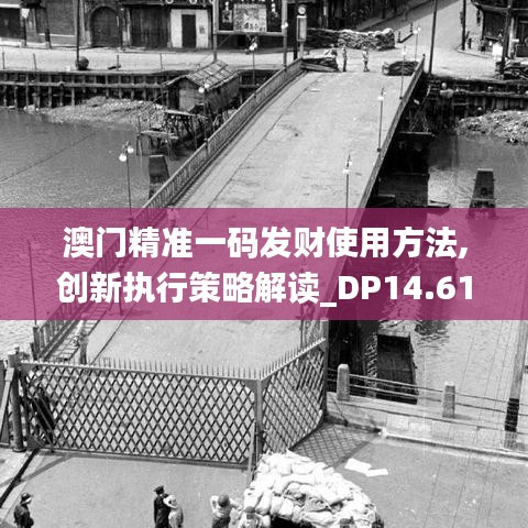 澳门精准一码发财使用方法,创新执行策略解读_DP14.615