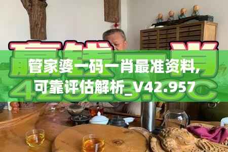 管家婆一码一肖最准资料,可靠评估解析_V42.957