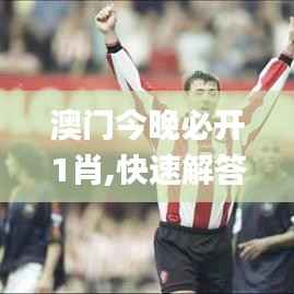 澳门今晚必开1肖,快速解答方案执行_手游版62.249