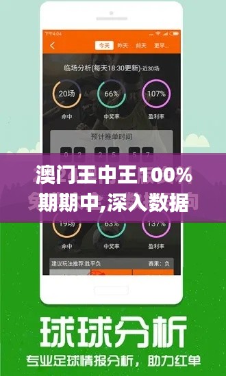 澳门王中王100%期期中,深入数据设计策略_专属款18.307