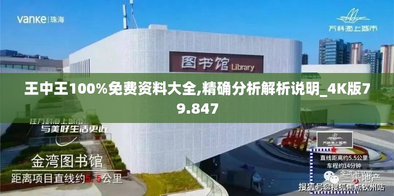 王中王100%免费资料大全,精确分析解析说明_4K版79.847