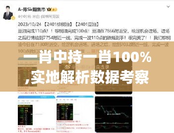一肖中持一肖100%,实地解析数据考察_Advance75.15