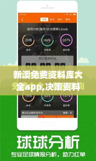 新澳免费资料库大全app,决策资料解释落实_Plus89.413