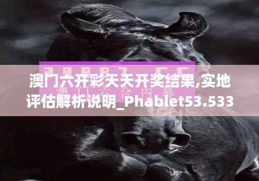 澳门六开彩天天开奖结果,实地评估解析说明_Phablet53.533
