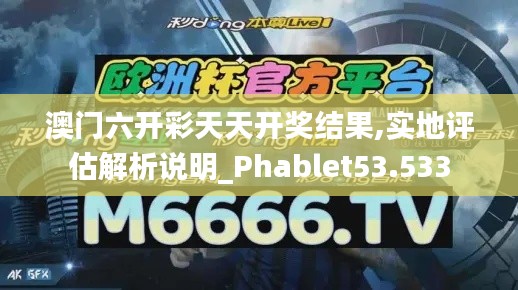 澳门六开彩天天开奖结果,实地评估解析说明_Phablet53.533