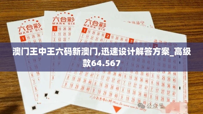 澳门王中王六码新澳门,迅速设计解答方案_高级款64.567