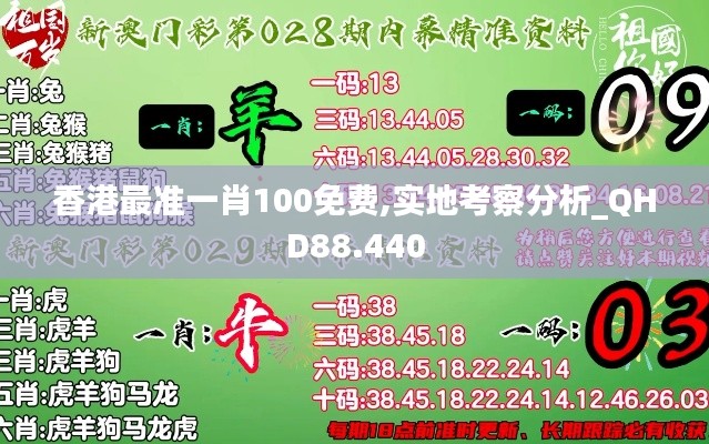 香港最准一肖100免费,实地考察分析_QHD88.440