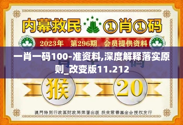 一肖一码100-准资料,深度解释落实原则_改变版11.212