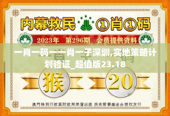 一肖一码一一肖一子深圳,实地策略计划验证_超值版23.18