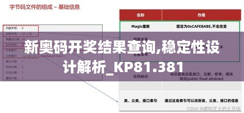 新奥码开奖结果查询,稳定性设计解析_KP81.381