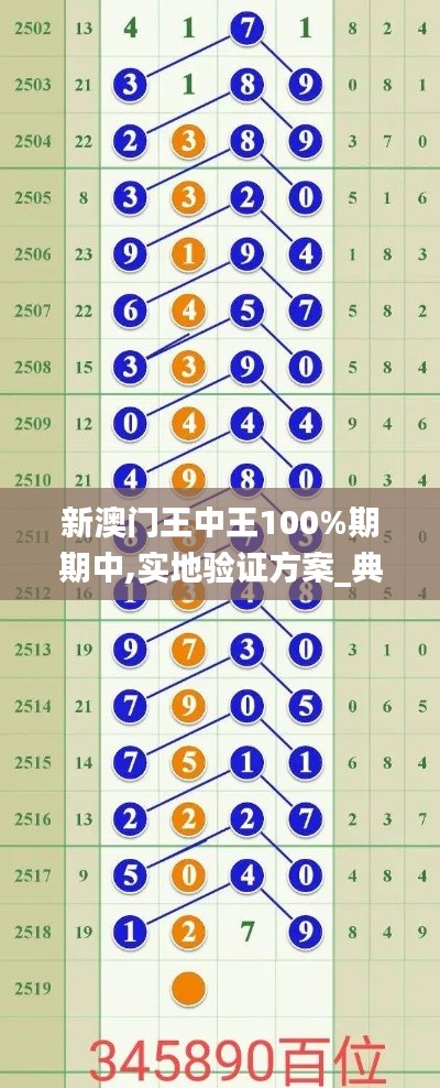 新澳门王中王100%期期中,实地验证方案_典藏集88.692