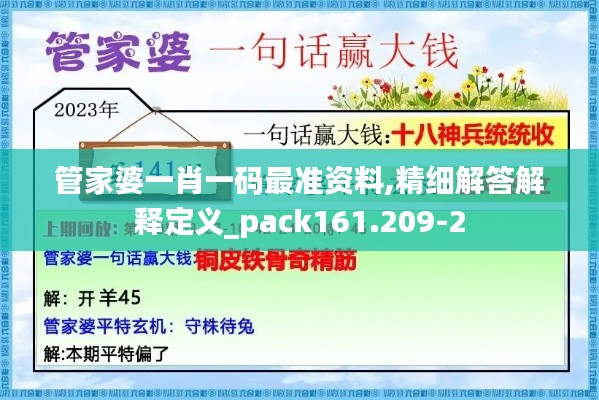 管家婆一肖一码最准资料,精细解答解释定义_pack161.209-2