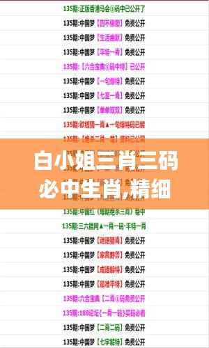 白小姐三肖三码必中生肖,精细设计策略_FT13.347-9