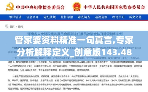 管家婆资料精准一句真言,专家分析解释定义_创意版143.488-4