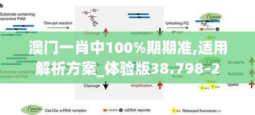 chibaichunhong 第8页