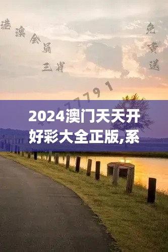 2024澳门天天开好彩大全正版,系统分析解释定义_入门版1.912-8