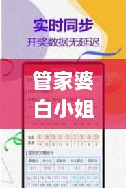管家婆白小姐四肖四码,全面分析应用数据_Phablet42.461-1