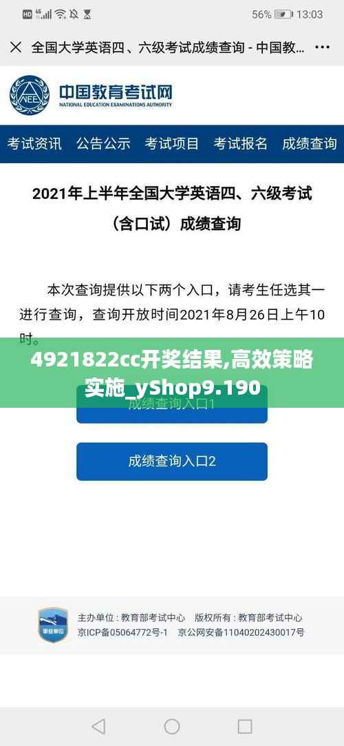 4921822cc开奖结果,高效策略实施_yShop9.190
