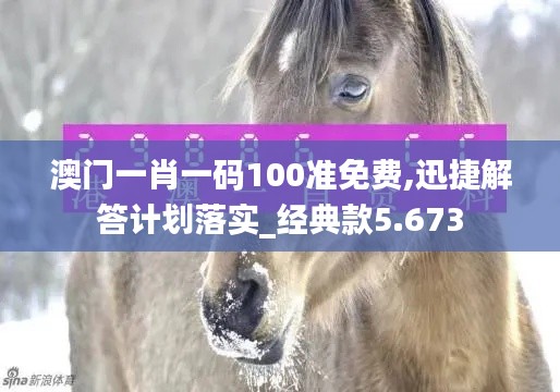 澳门一肖一码100准免费,迅捷解答计划落实_经典款5.673