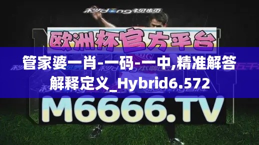 管家婆一肖-一码-一中,精准解答解释定义_Hybrid6.572