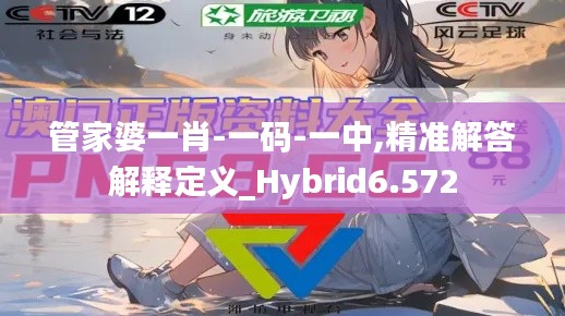 管家婆一肖-一码-一中,精准解答解释定义_Hybrid6.572