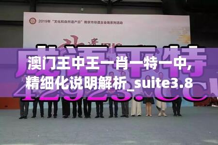 澳门王中王一肖一特一中,精细化说明解析_suite3.892