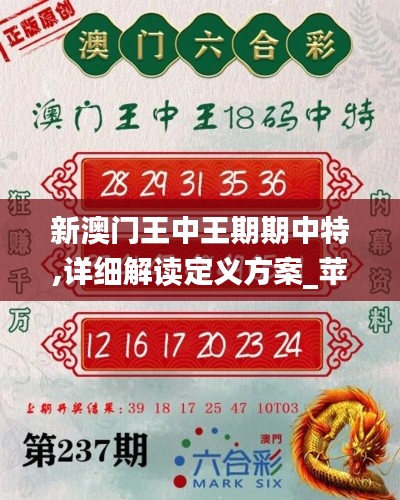 新澳门王中王期期中特,详细解读定义方案_苹果版10.835