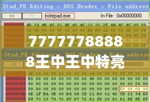 77777788888王中王中特亮点,深入解答解释定义_VE版78.571-8