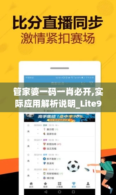 管家婆一码一肖必开,实际应用解析说明_Lite99.924-1