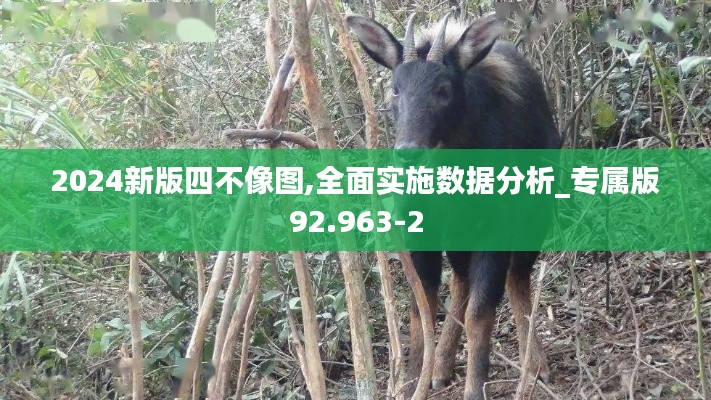 2024新版四不像图,全面实施数据分析_专属版92.963-2