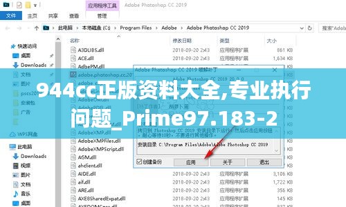 944cc正版资料大全,专业执行问题_Prime97.183-2