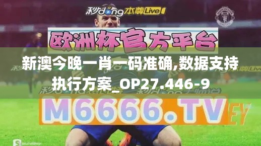 新澳今晚一肖一码准确,数据支持执行方案_OP27.446-9