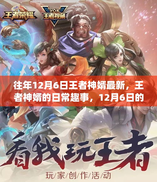 王者神婿的温馨日常趣事，12月6日的篇章回顾