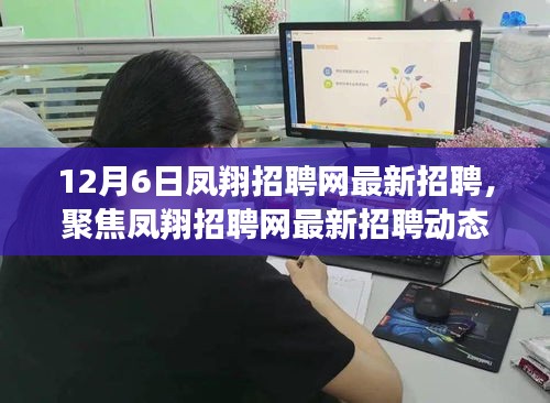 12月6日凤翔招聘网最新招聘，聚焦凤翔招聘网最新招聘动态，深度解读与观点阐述