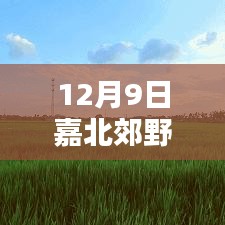嘉北郊野公园12月9日热闹瞬间与深远影响纪实