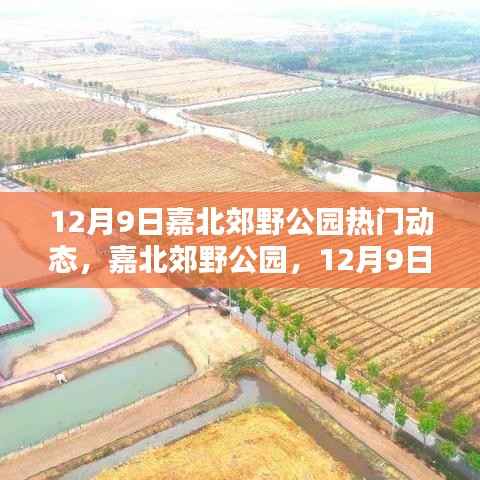 嘉北郊野公园12月9日热闹瞬间与深远影响纪实