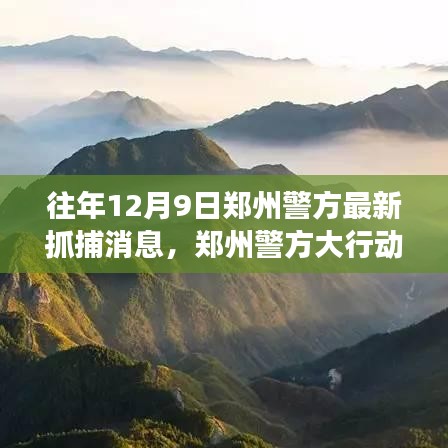 郑州警方大行动背后的宁静之旅，抓捕与心灵远行的双重轨迹