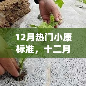 niaotihualuo 第6页