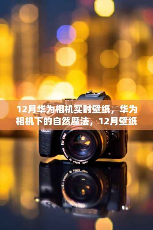 华为相机下的自然魔法,寻找内心的宁静与远方风景之美,十二月壁纸之旅