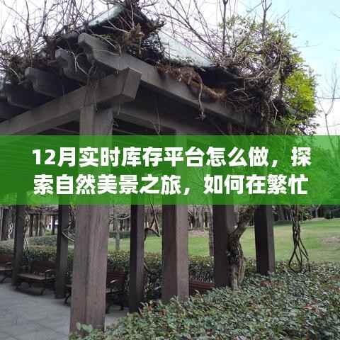 探索自然美景之旅,如何在库存管理中寻找内心的宁静与平衡之道——实时库存平台操作指南