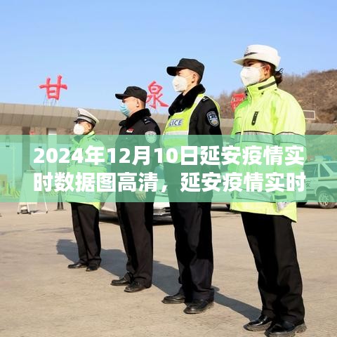 延安疫情实时数据图制作指南与高清实时数据图展示（2024年12月10日）