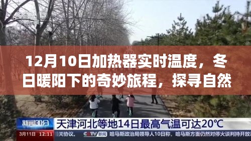 冬日暖阳下的奇妙旅程，探寻自然美景与内心的宁静与温暖——12月10日加热器实时温度记录