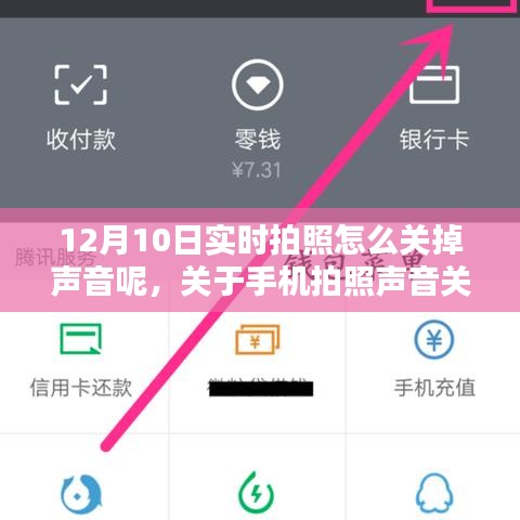 niaorufanlong 第5页