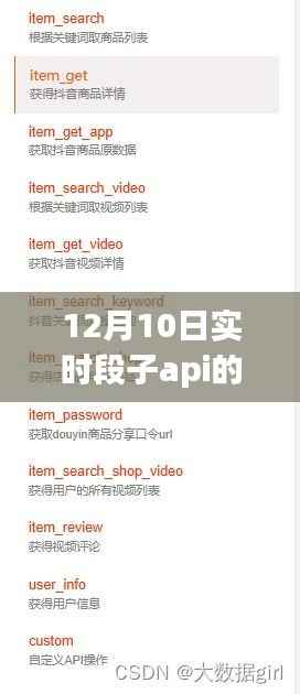 探究优势与挑战,12月10日实时段子API使用实训报告全解析