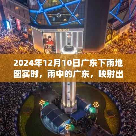 广东雨中映变革,学习自信与力量的实时地图 2024年12月10日版