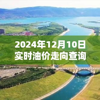 2024年12月10日实时油价走向分析与查询